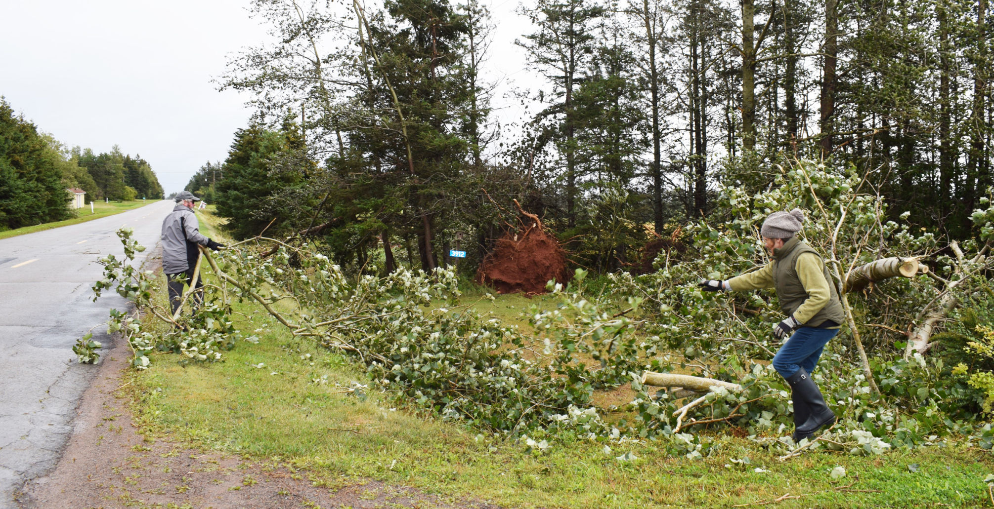 Wheelers cleanup in East Point